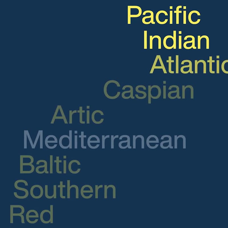 Cover image for Fisheck Brand Identity and Campaign Development