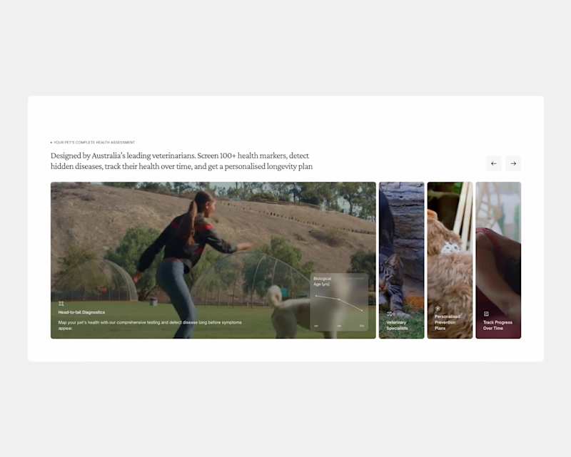 Cover image for Turning startup ideas into credible ventures one landing pag...