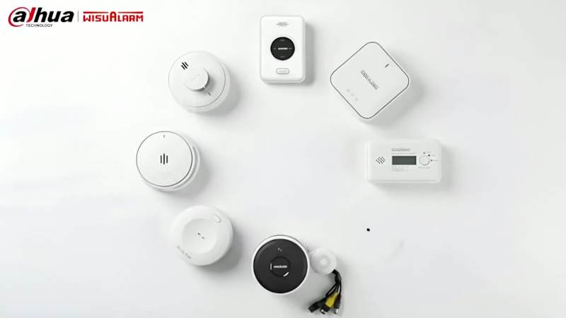 Cover image for The work focused on creating