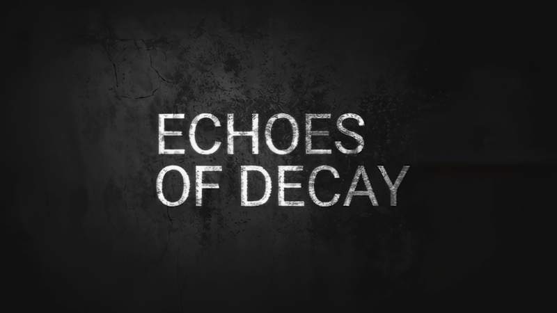 Cover image for ECHOES OF DECAY This piece was born from countless rejection...