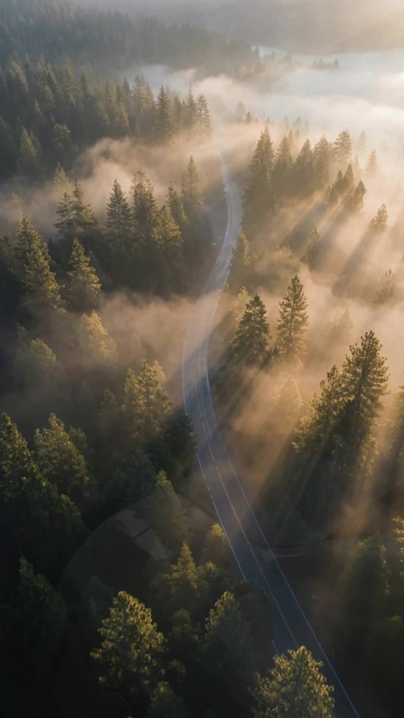 Cover image for Nissan GT-R Nismo - cinematic