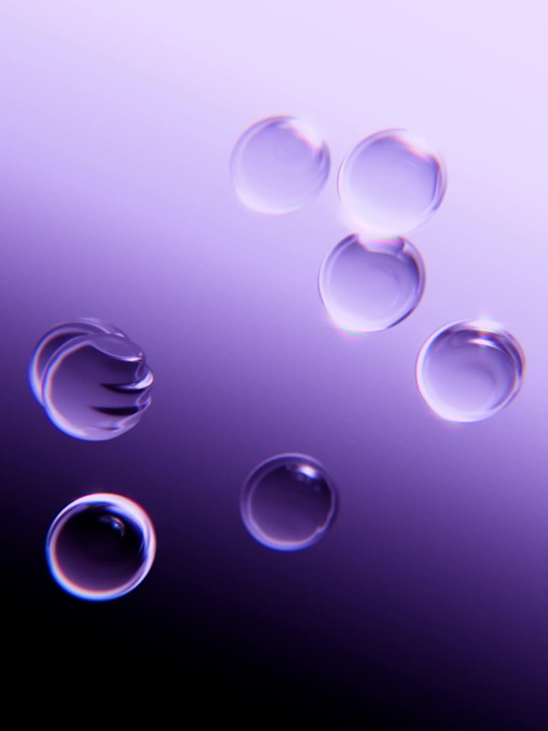 Cover image for A Quiet moment in Motion