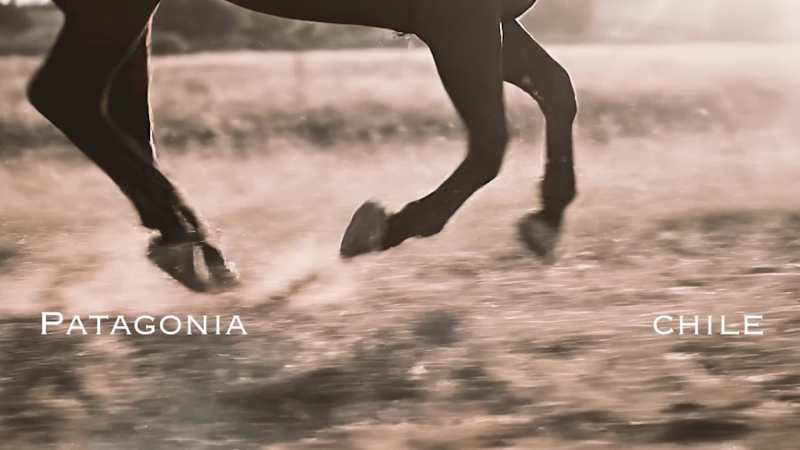 Cover image for Lost in the textures of