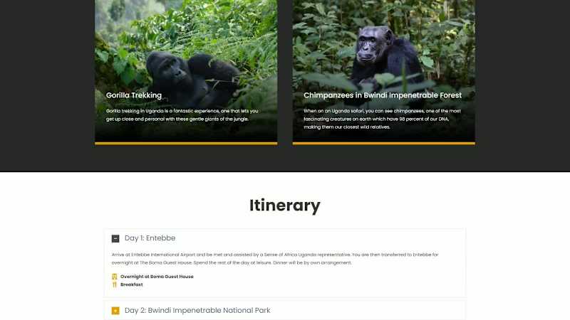 Cover image for I designed and developed a custom WordPress website for Jour...