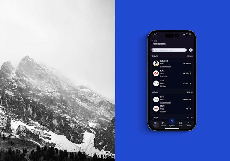 Cover image for Reimagining Personal Finance Interfaces with PayFlex