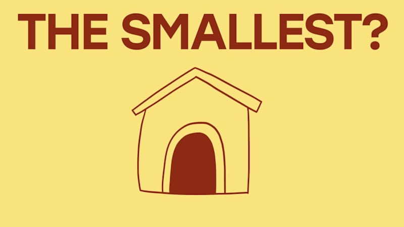 Cover image for Burger House Branding Animation