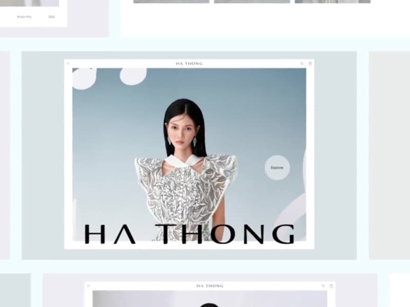 Cover image for HA THONG / AWWWARDS WINNER