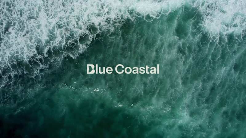 Cover image for Blue Coastal Brand Identity Design