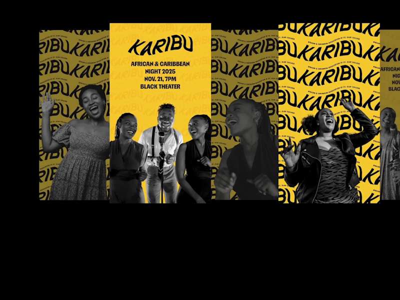 Cover image for KARIBU - Logo Redesign & Branding
