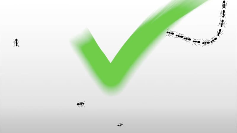 Cover image for Logo Animation of a Pest Control Service Brand.