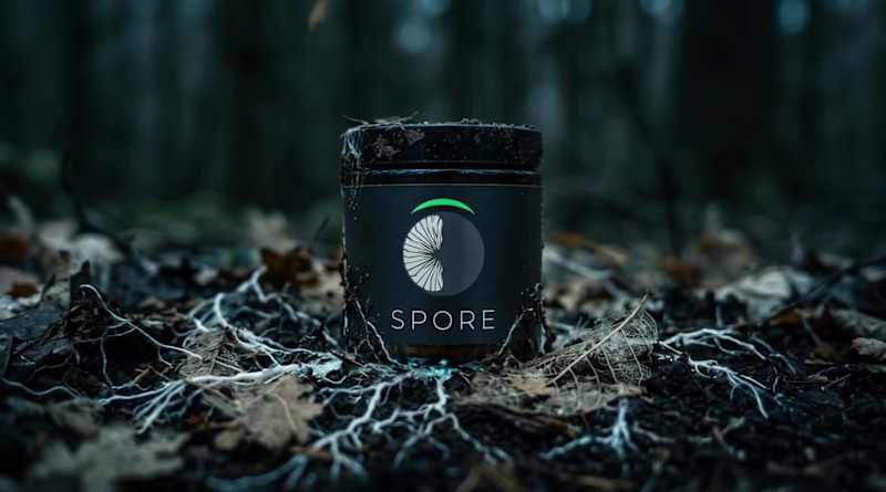 Cover image for Spore: A Biological Exploration in Branding