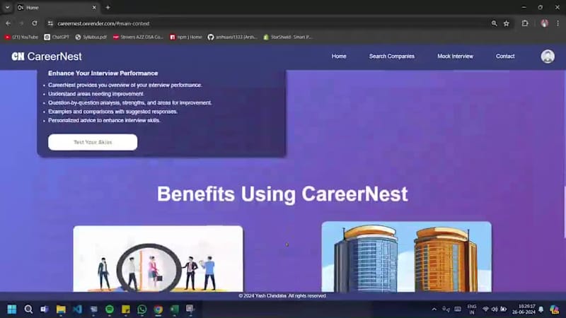 Cover image for Career Nest