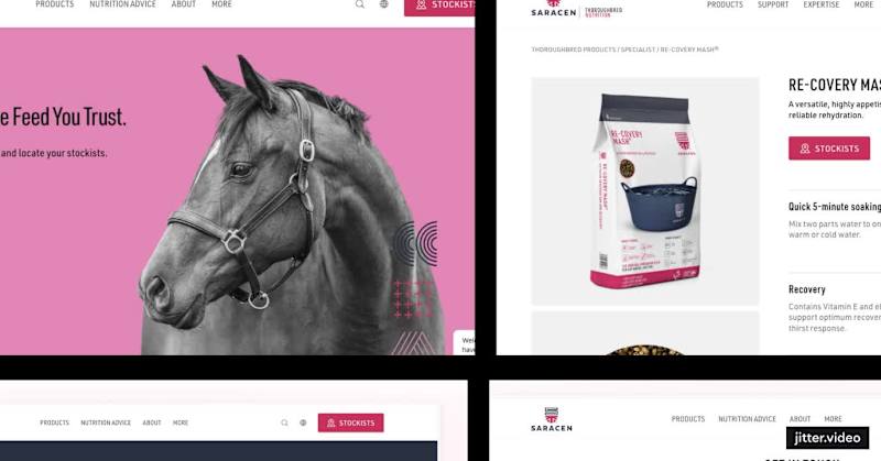 Cover image for Webflow Site Development for Saracen Horse Feeds