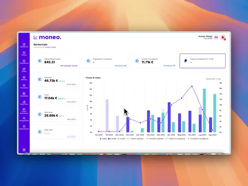 Cover image for moneo- financial co-pilot for SMEs