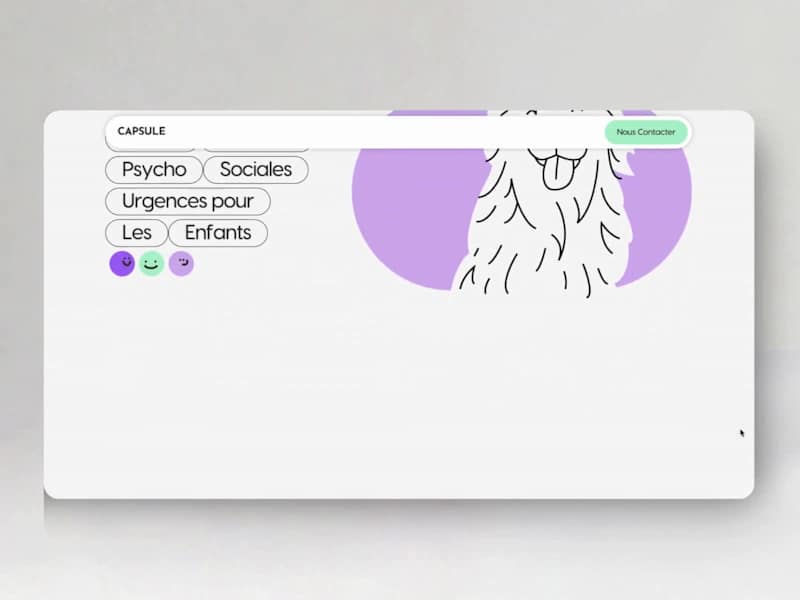 Cover image for Sustainable Landing Page for PTSD France's CAPSULE Program