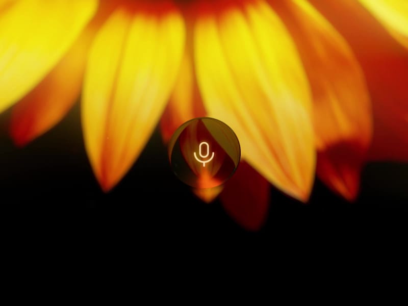 Cover image for I’m tired of boring, soulless interfaces. It feels like we a...