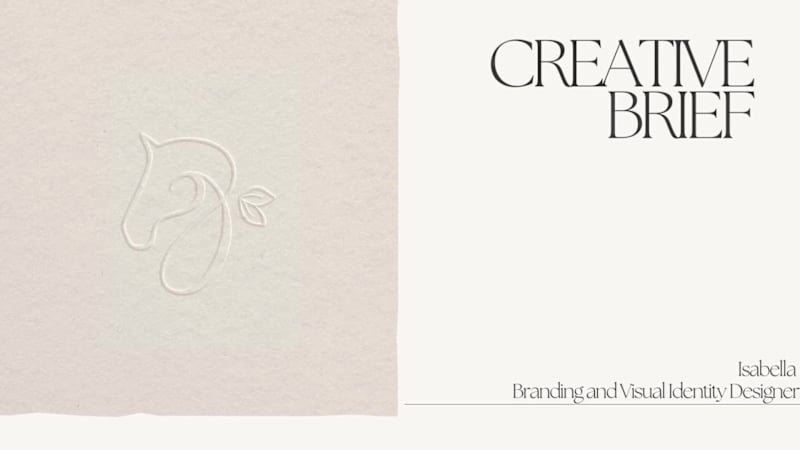 Cover image for A nice brief goes a long way and assists a lot in admin and ...