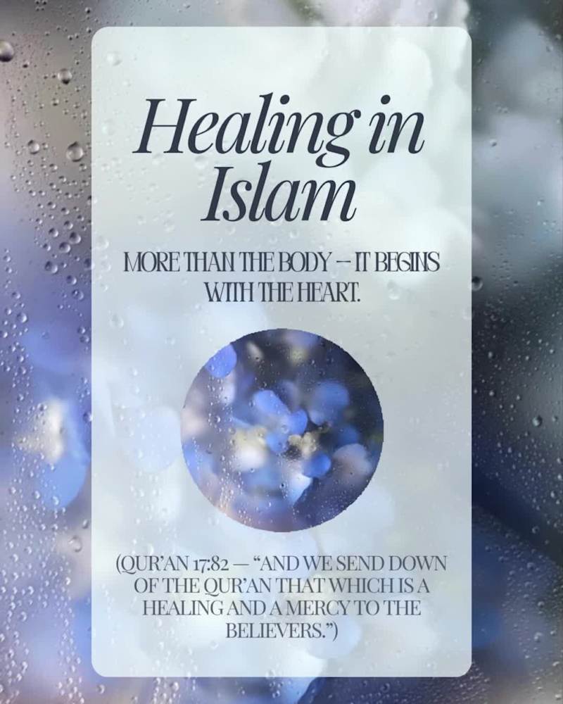 Cover image for Visual, design/text