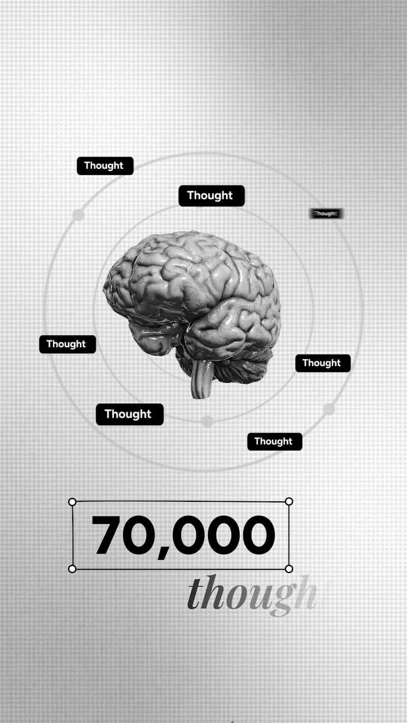 Cover image for :This project was developed for