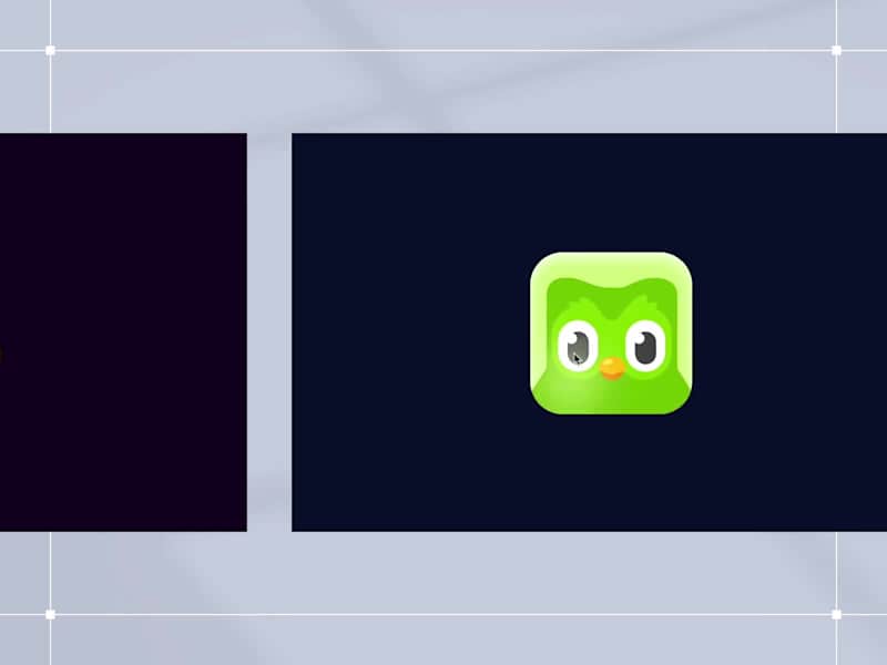 Cover image for Interactive Rive Animations