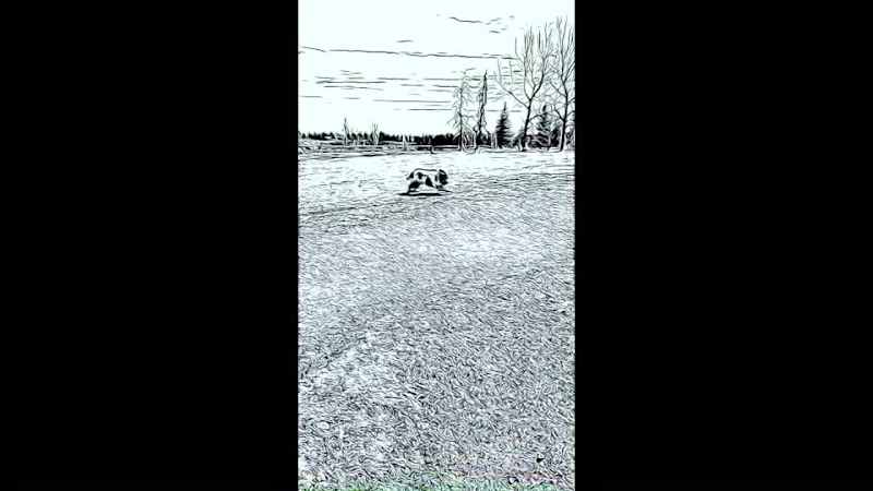 Cover image for Music and simple effects to