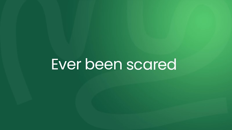 Cover image for Pre-Launch Motion Design for Zeefas.

This