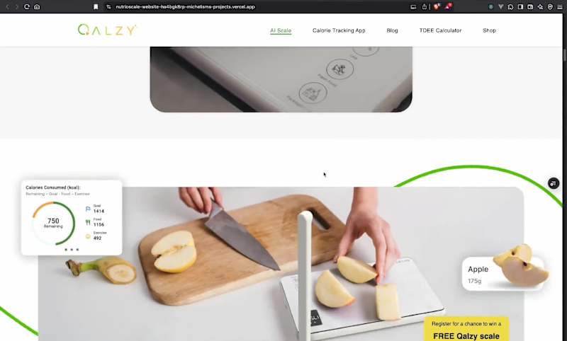 Cover image for Qalzy Landing page