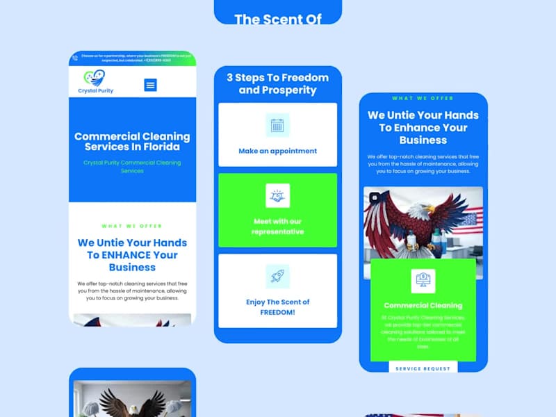 Cover image for Crystal Purity Website Development