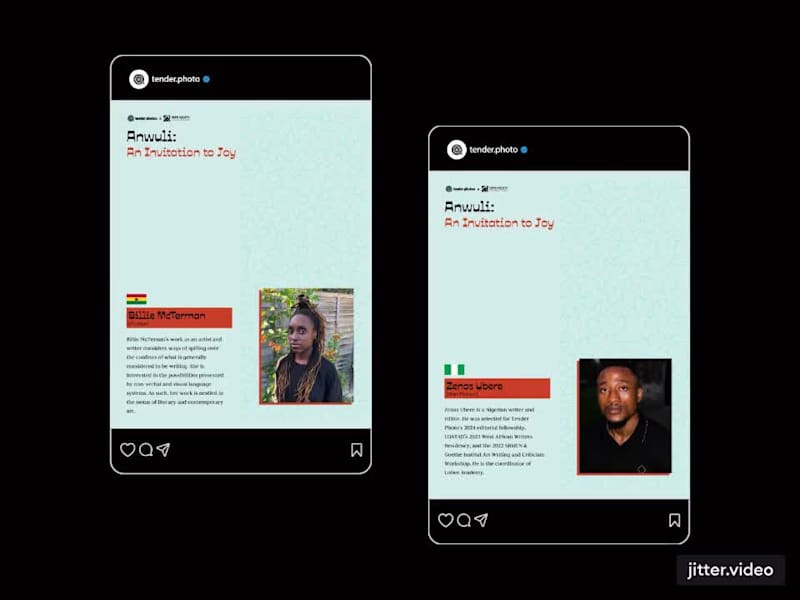Cover image for Social Media Design for Tender Visions: Anwuli Campaign