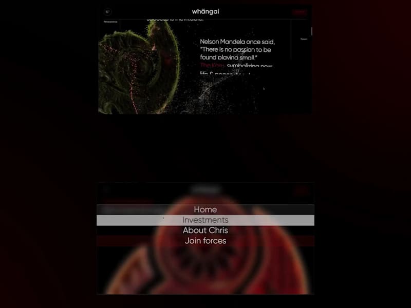 Cover image for Website for Chris Zadeh