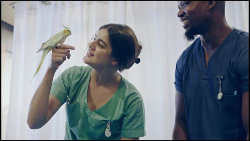 Cover image for Branding Peri: The A.I. Pet Care Buddy