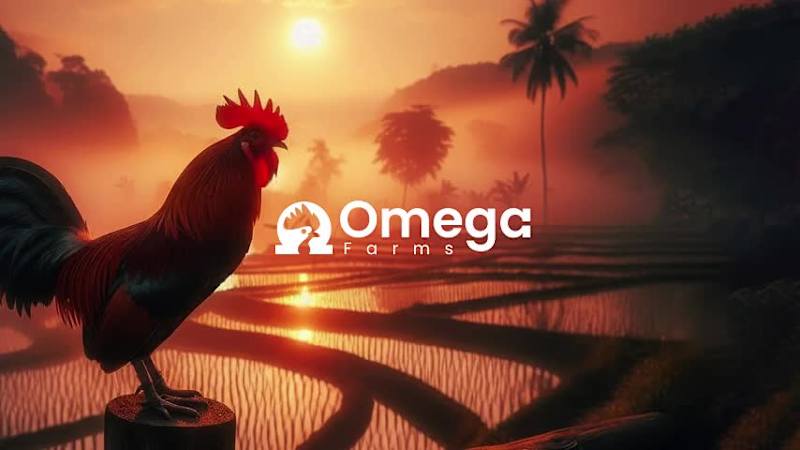 Cover image for Omega Farms Brand Identity Case Study