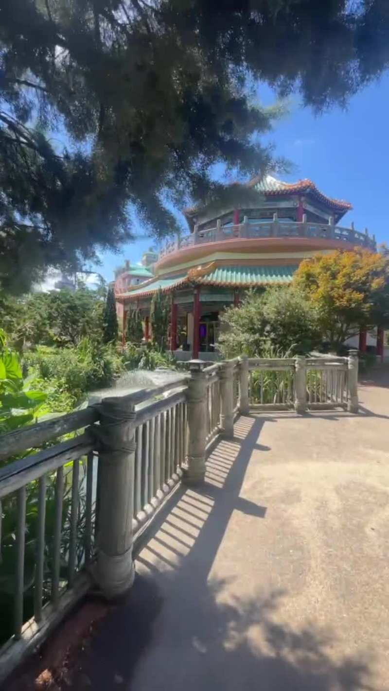 Cover image for I love showcasing everything our city has to offer. While bu...