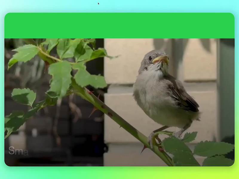 Cover image for SOSTEC Website Design and Webflow Development