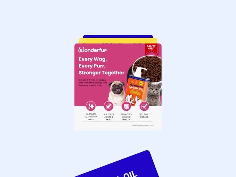 Cover image for Wonderfur: Meta Ad Campaigns 