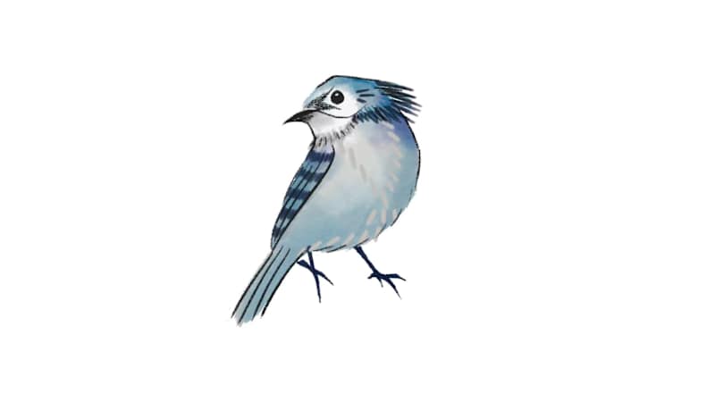 Cover image for Short Animation