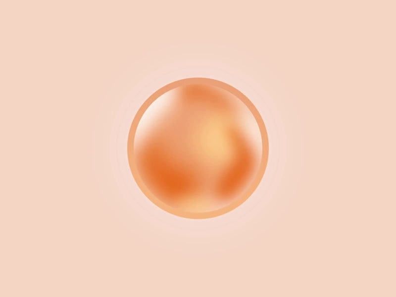 Cover image for Rive - Design and Animation for Studeez App