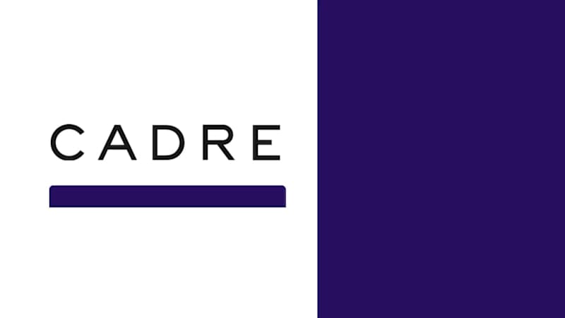 Cover image for Cadre