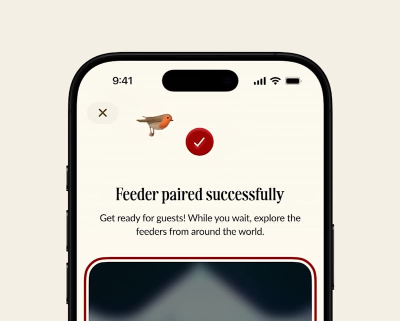 Cover image for Success screen