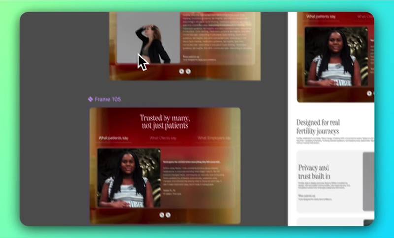 Cover image for I do not have to