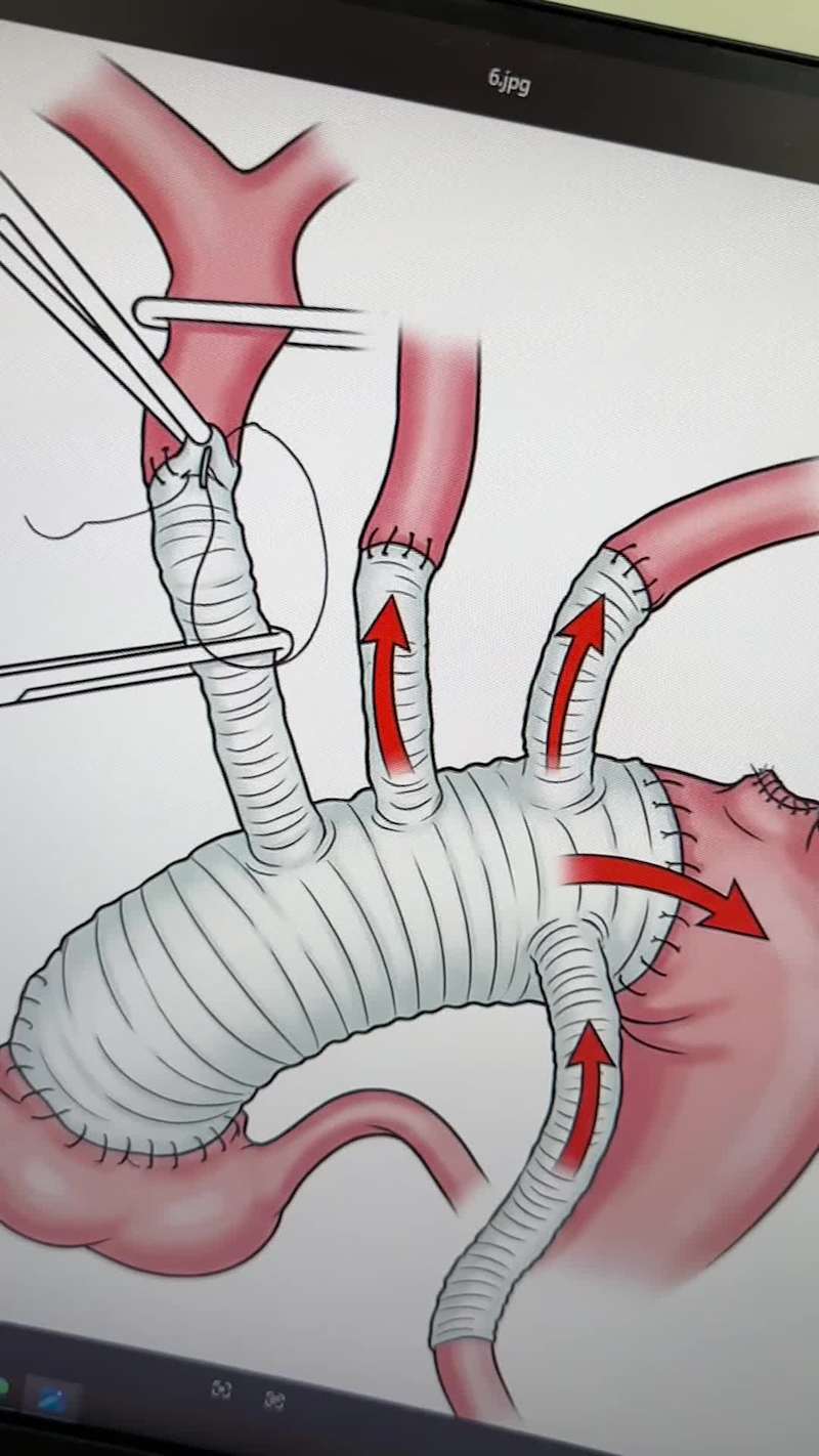 Cover image for Enhancing Medical Education with Diverse Anatomical Visualiz...