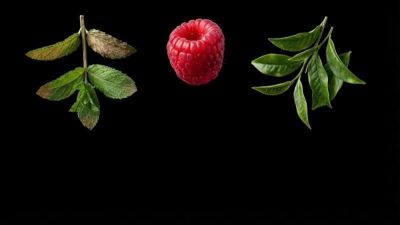 Cover image for Teatric (from Theatric) is a