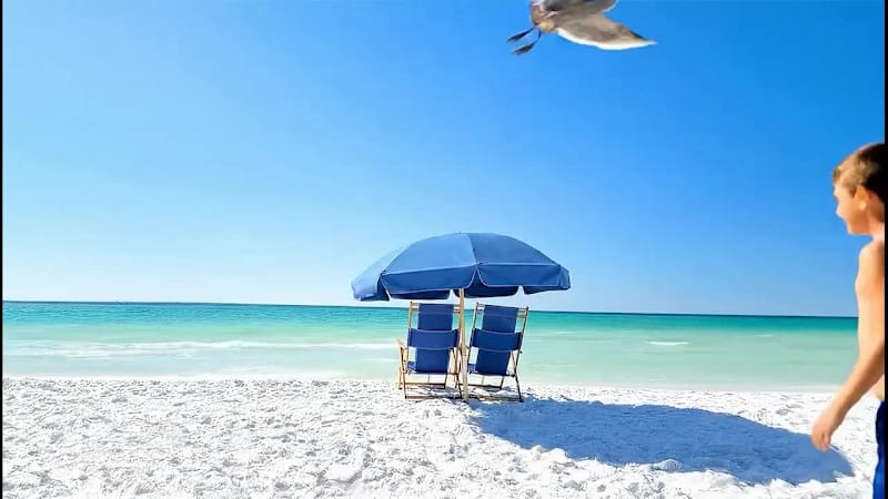 Cover image for ZenAI We deliver the professional photos and videos you need...