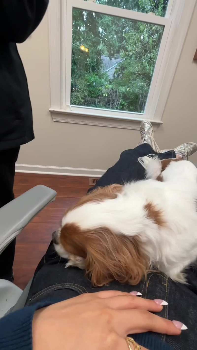 Cover image for Produced a 45-second TikTok for Dogwood Dentistry showcasing...