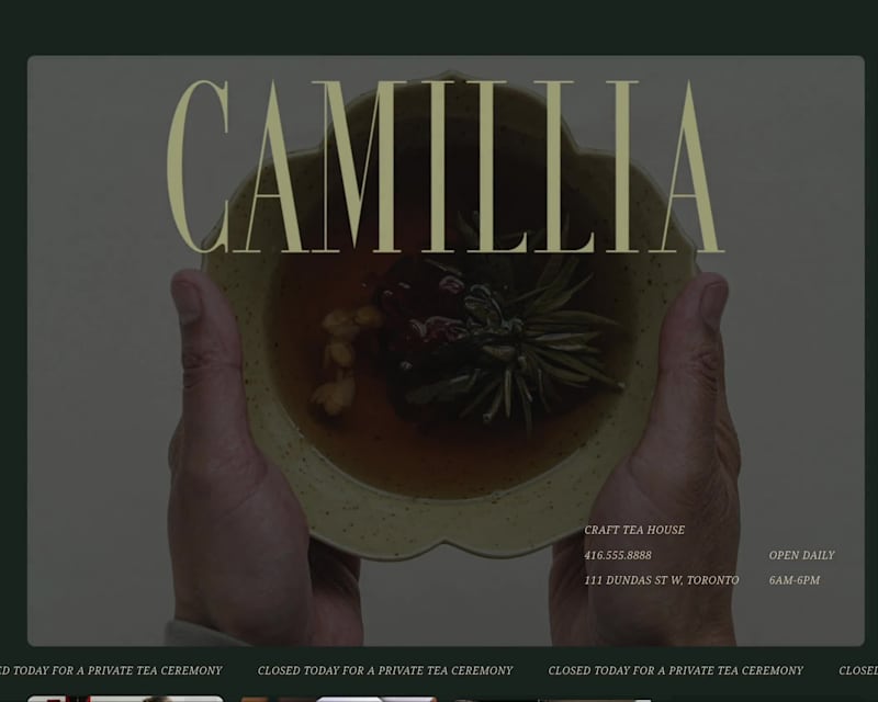 Cover image for Camilia Website 