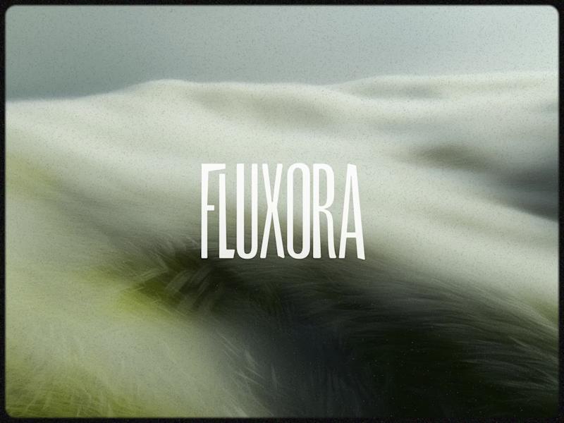 Cover image for Fluxora Logo Design