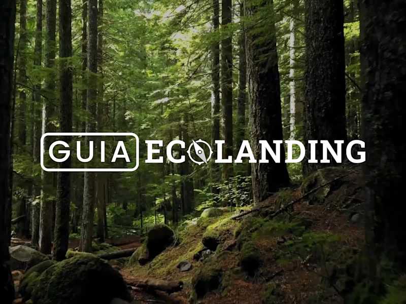Cover image for Eco-Friendly Travel Platform Development