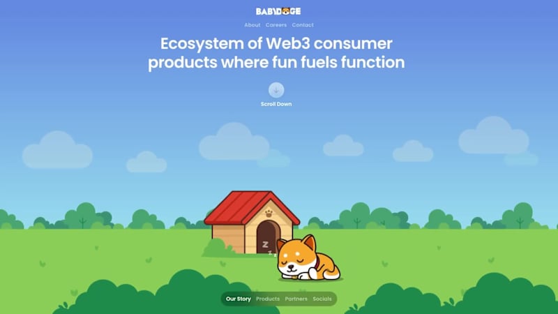 Cover image for Website Design for BabyDoge