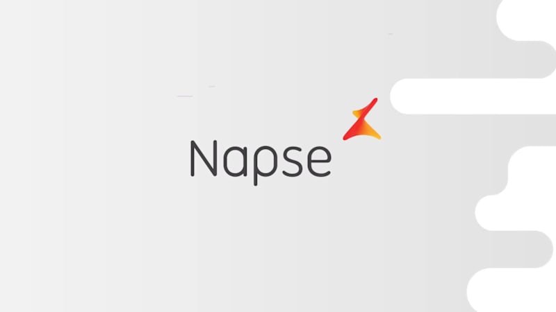 Cover image for Napse
