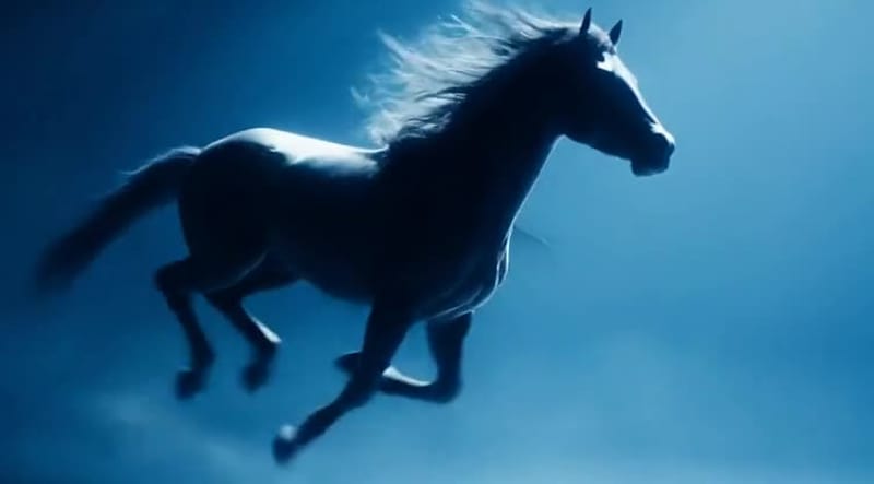 Cover image for Zo Computer Challenge is heating